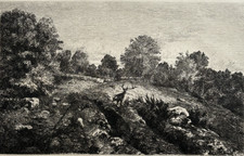 Bois Roches Cerf GRAVURE Eau