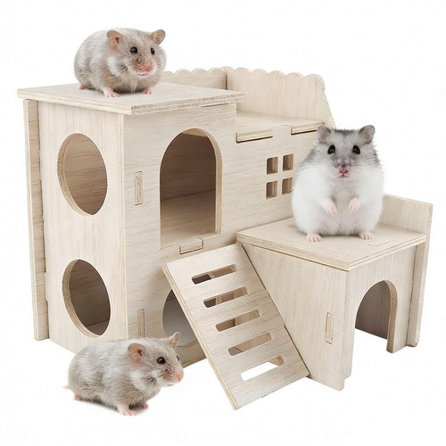 Accessoires pour hamster nain - hamster,