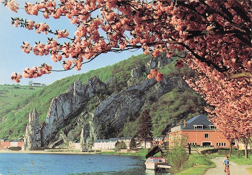 Belgique dinant rocher - belgique,