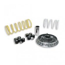 Variateur Malossi Multivar pour scooter Honda 125 Pantheon 2T 1998 à 2003 Neuf