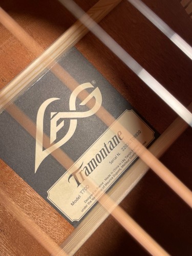 Guitare acoustique lag - guitare,