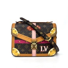 Louis Vuitton Monogram Petite