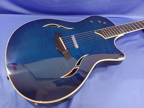 Guitare électrique acoustique