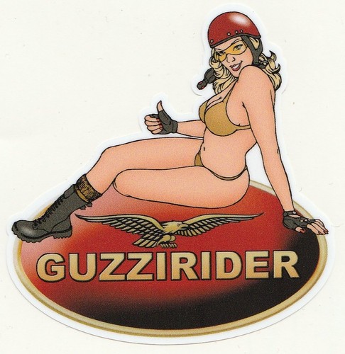 Moto guzzi guzzirider left pin - guzzirider,