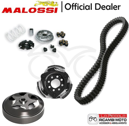 Set malossi variateur - set, +