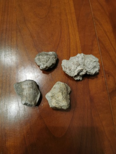 Lot rare differents - 4,