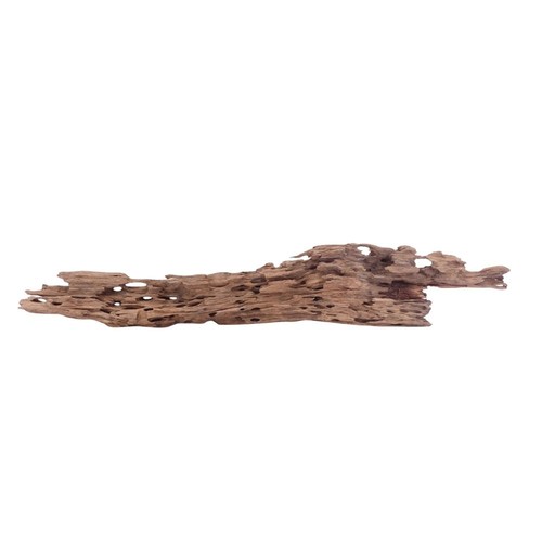 Aquaone racine mangrove xl - de,