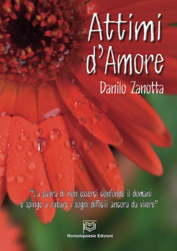 Danilo zanotta attimi amore - attimi, d'