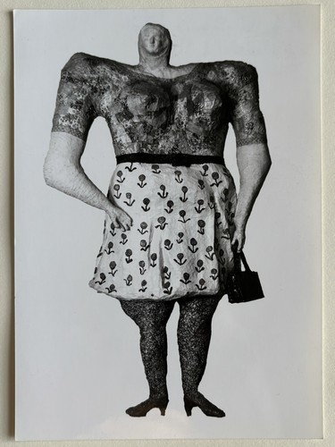 Niki saint phalle photo - niki,