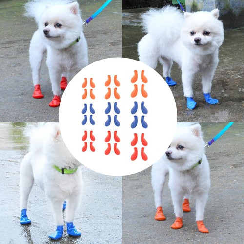 Chien chiot chaussures - chaussures, en