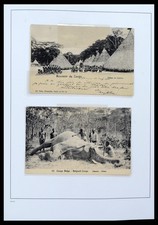 BELGIUM Congo 1886-1960 MNH MH Used w/ Rwanda in DAVO Album Stamp Collection