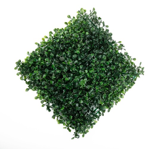 Tapis haie 25 - de, cm