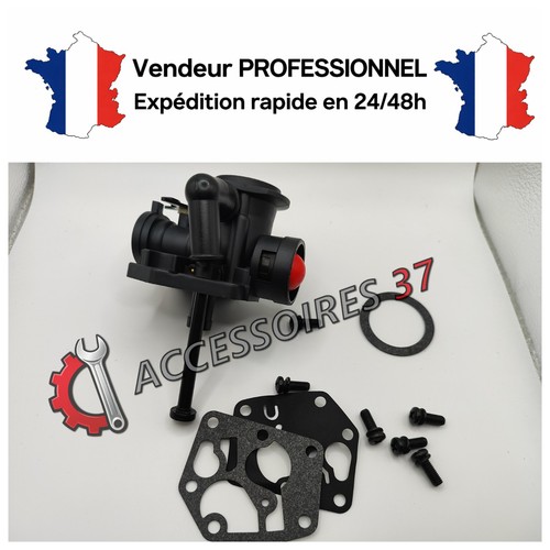 Carburateur pour briggs - carburateur, et