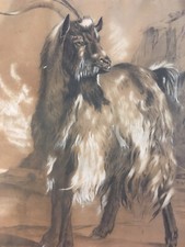 Très Beau Grand Dessin