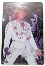 PLAQUE METAL Tôlée VINTAGE 20X30  JOHNNY HALLYDAY   ROCK'N'ROLL NV1