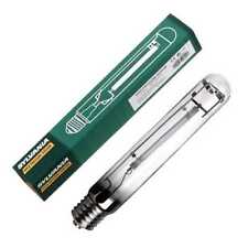 Ampoule / Lampe de culture