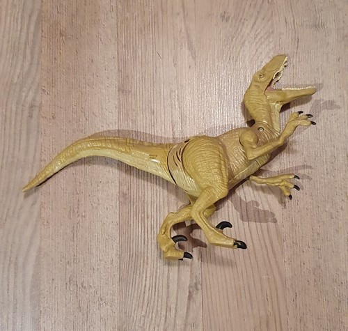 Vélociraptor marque - de, la