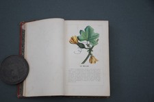 Botanique Le Maout leçons de