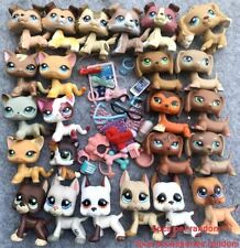Mini Pet Shop Little Pets 5pcs Random and lps Accessories 7pcs Random