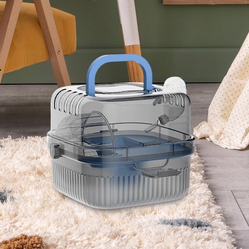 Petits animaux hamster portant - petits,