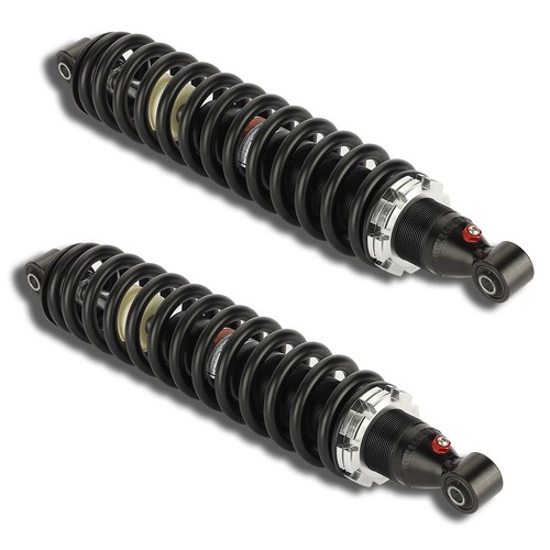 Rear shocks for yamaha grizzly - for,