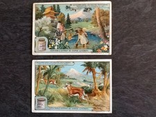 LOT 2 CHROMOS LIEBIG SERIE