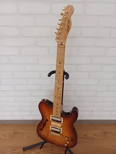 Guitare électrique schecter - guitare,