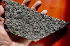 PLAQUE DE MORTALITÉ DE