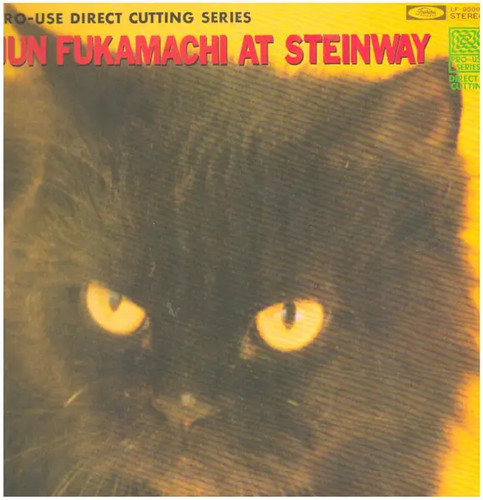 Jun fukamachi steinway - fukamachi, at