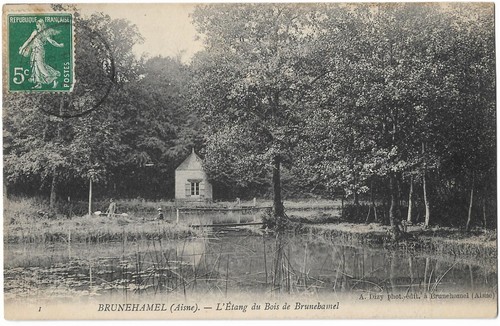 Fr02 brunehamel etang bois - brunehamel,