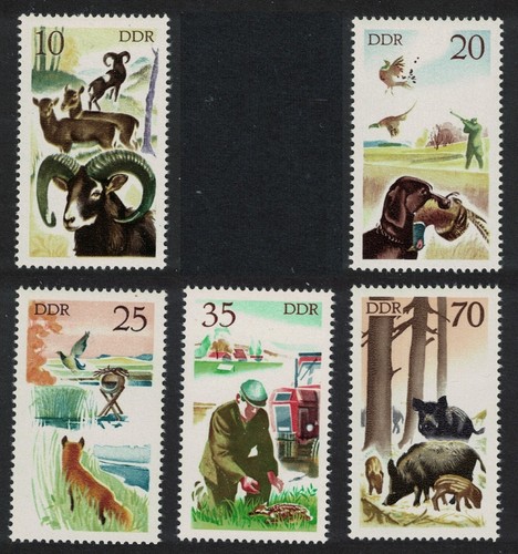 Birds hunting mouflon deer - birds,