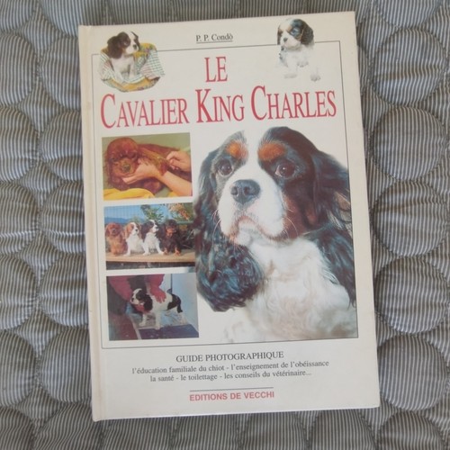 Cavalier king charles p - charles,