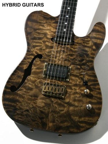 Schecter telecaster thinline - schecter,