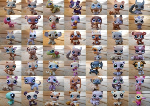 Lps littlest petshop pet - petshop,