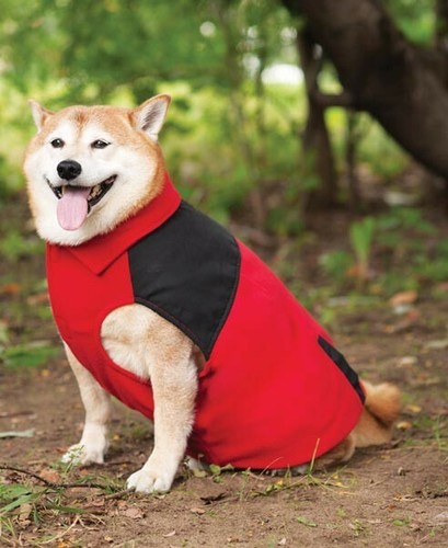 New with tags - new, red