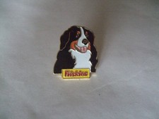 PINS  CHIEN BOUVIER BERNOIS