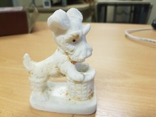 Objet de Vitrine chien Fox