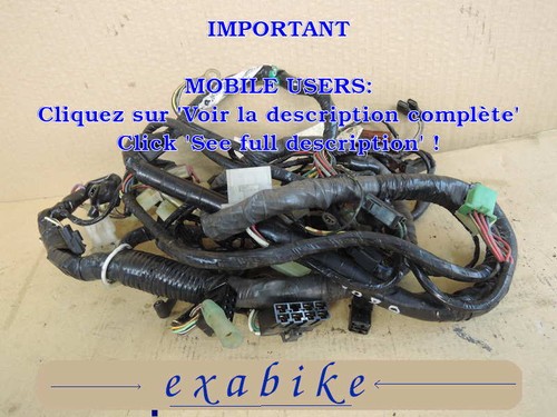 Faisceau electrique pour - electrique,