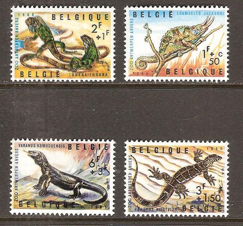 Belgium b779 mnh animals - belgium, #