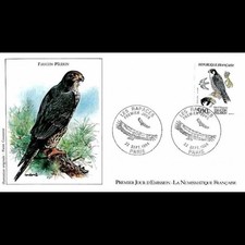 FDC LNF - Rapaces, faucon