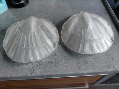 Coquilles lampe lustre - coquilles,