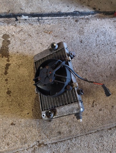 Radiateur huile lancia - radiateur,