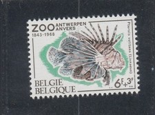 L7032 BELGIQUE TIMBRE N° Y&T