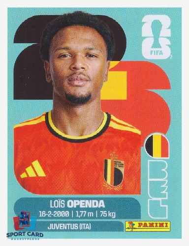 Panini fifa world - cup,