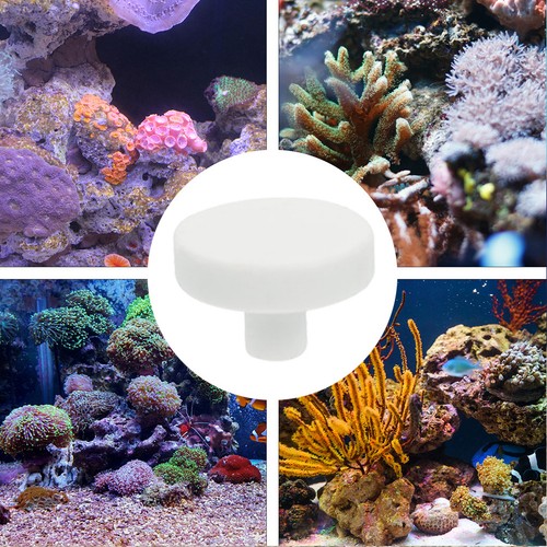Pcs accessoires pour - accessoires,