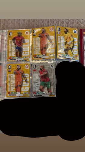 Cartes panini - cartes,