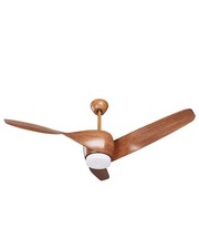 Ventilateur de Plafond Moderne