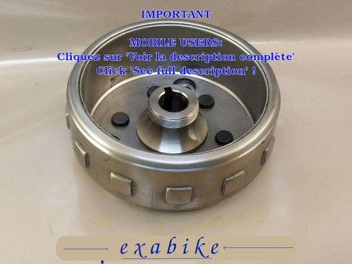 Rotor alternateur pour - rotor, d'alternateur