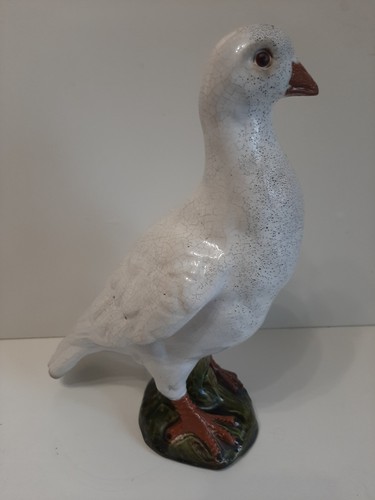 Pigeon epi faitage bavent - pigeon,