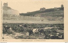 80 - Cise Wood - Beach - Mussel Picking - Animated - Walking Fishing - C